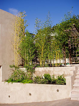 Custom, Landscape, Construction, Gardens, Renovation, Quality, Craftsmanship, Northern, California, Coastal, High End, Akita Landscape, Inc.